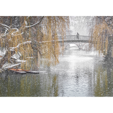 Load image into Gallery viewer, Winter Scenes Christmas Cards
